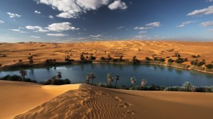 oasis-in-the-libyan-desert