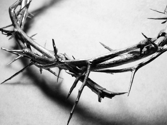 crown-of-thorns.jpg